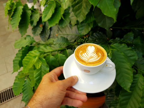 Person Holding White Ceramic Cup