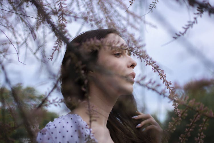 Portrait Of Brunette Woman Behind Tree Branch