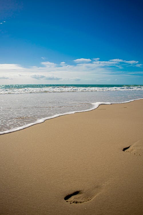 Ücretsiz ayak izleri, deniz, deniz kenarı içeren Ücretsiz stok fotoğraf Stok Fotoğraflar
