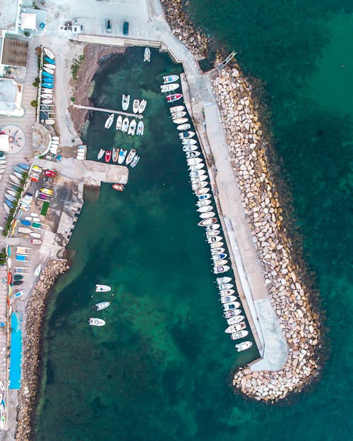 Docked Boats on a Harbor