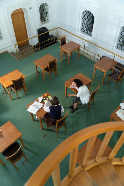 Women Sitting at a Library · Free Stock Photo
