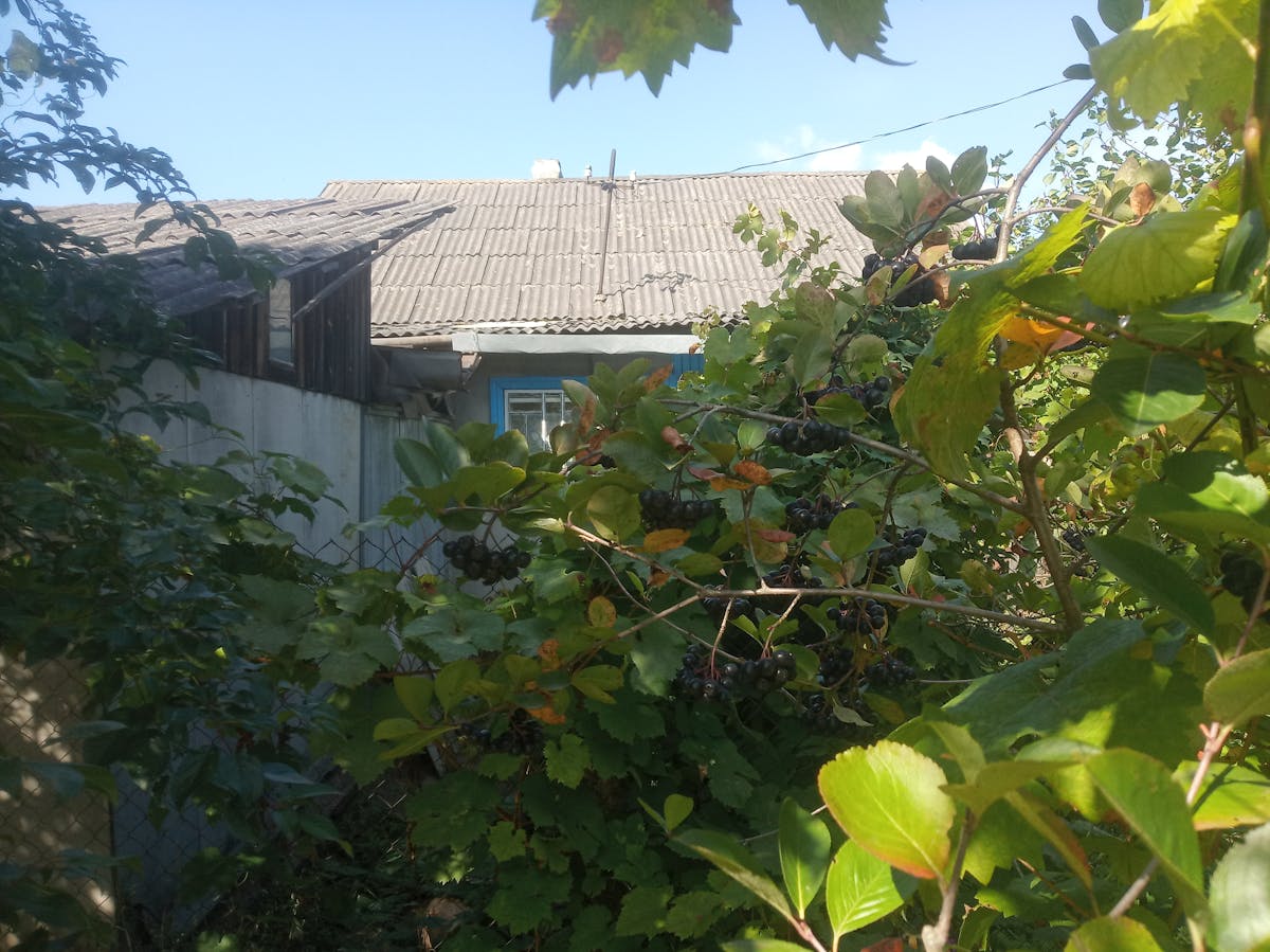 Close-up of a finished snack plate with crackers, cheese, olives, nuts and sliced fruit