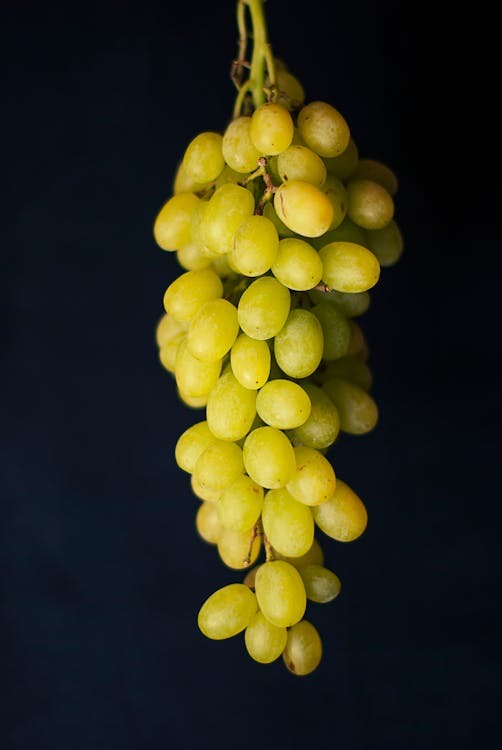 Spice It Up Sweetly: Food Pleasure Fun berries, fruits, grapes