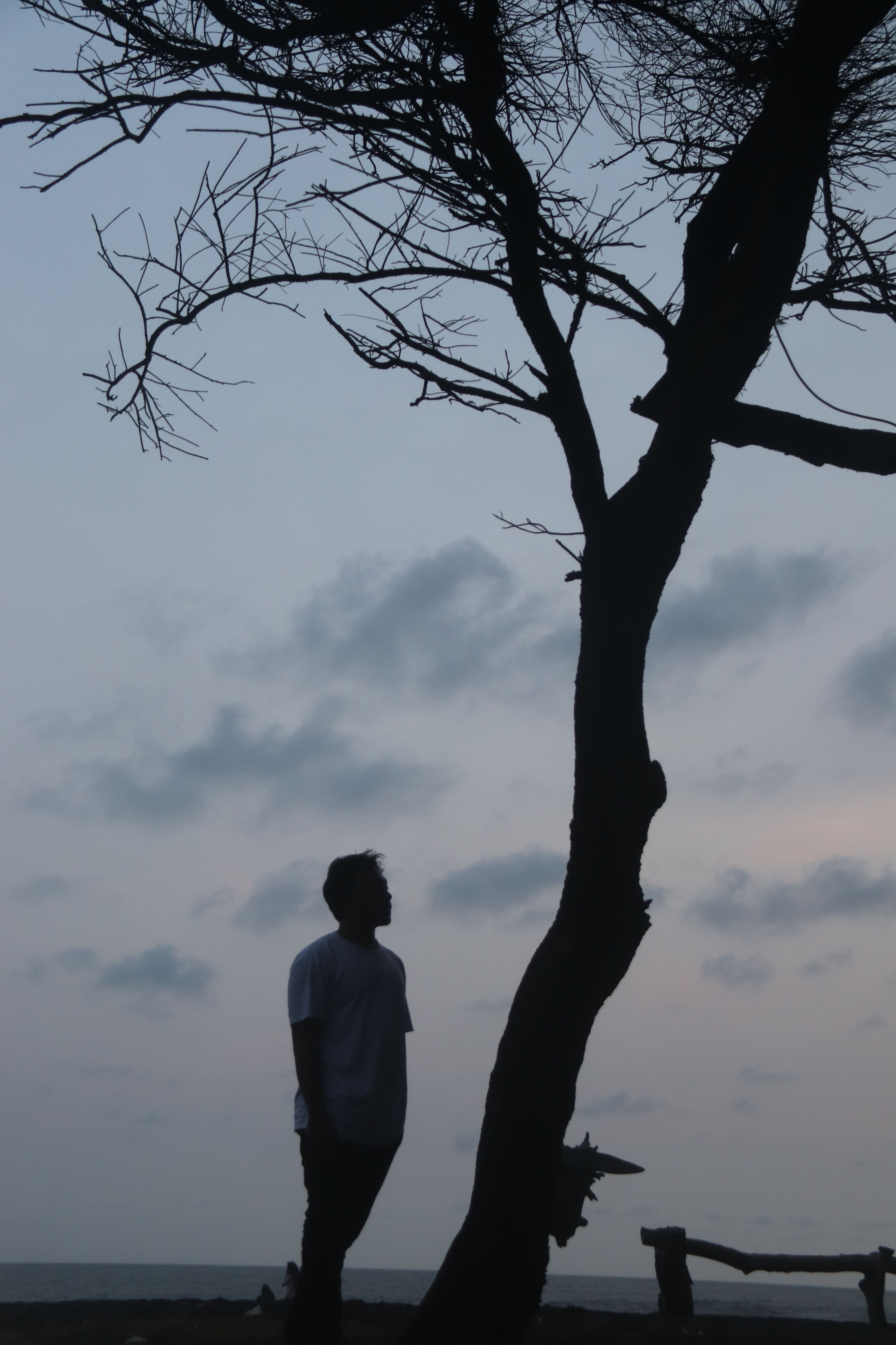 Silhouette of a man standing under a tree against a dusky sky, creating a serene and contemplative mood.