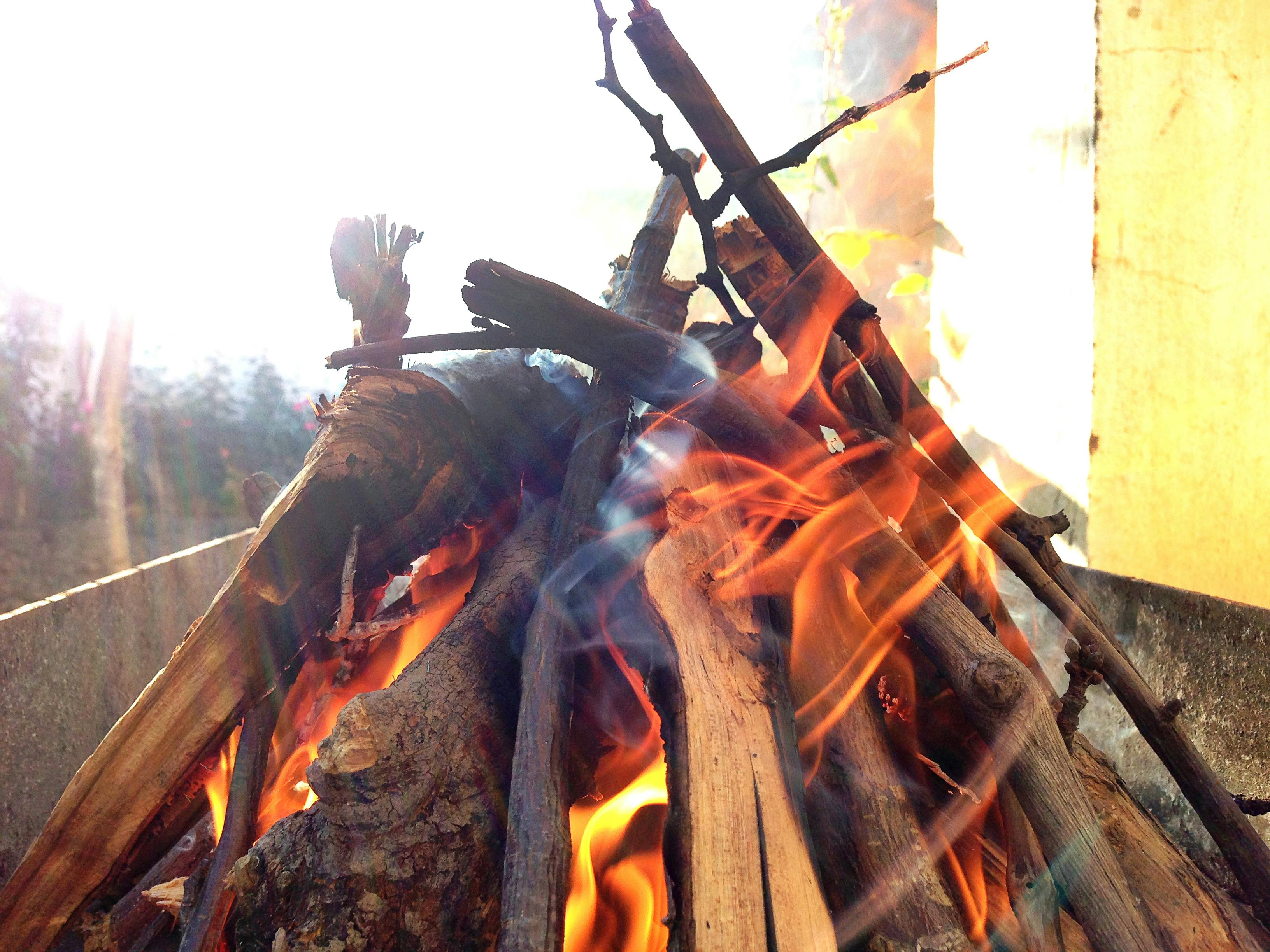 Free stock photo of mangal