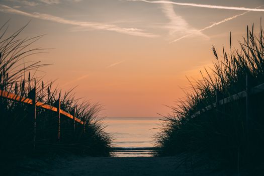 A pathway through tall grass leads to a serene beach at sunset, exuding peace and beauty.