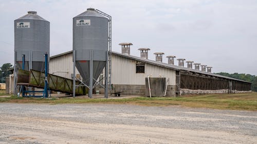 Large Building and Steel Containers on a Farm 