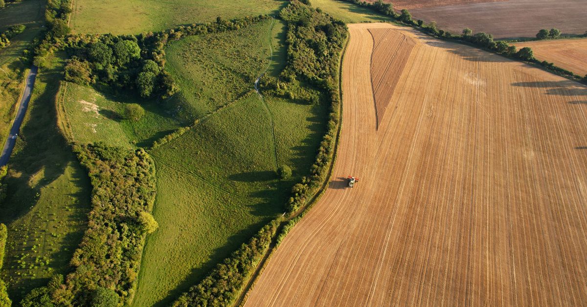 farmland audit