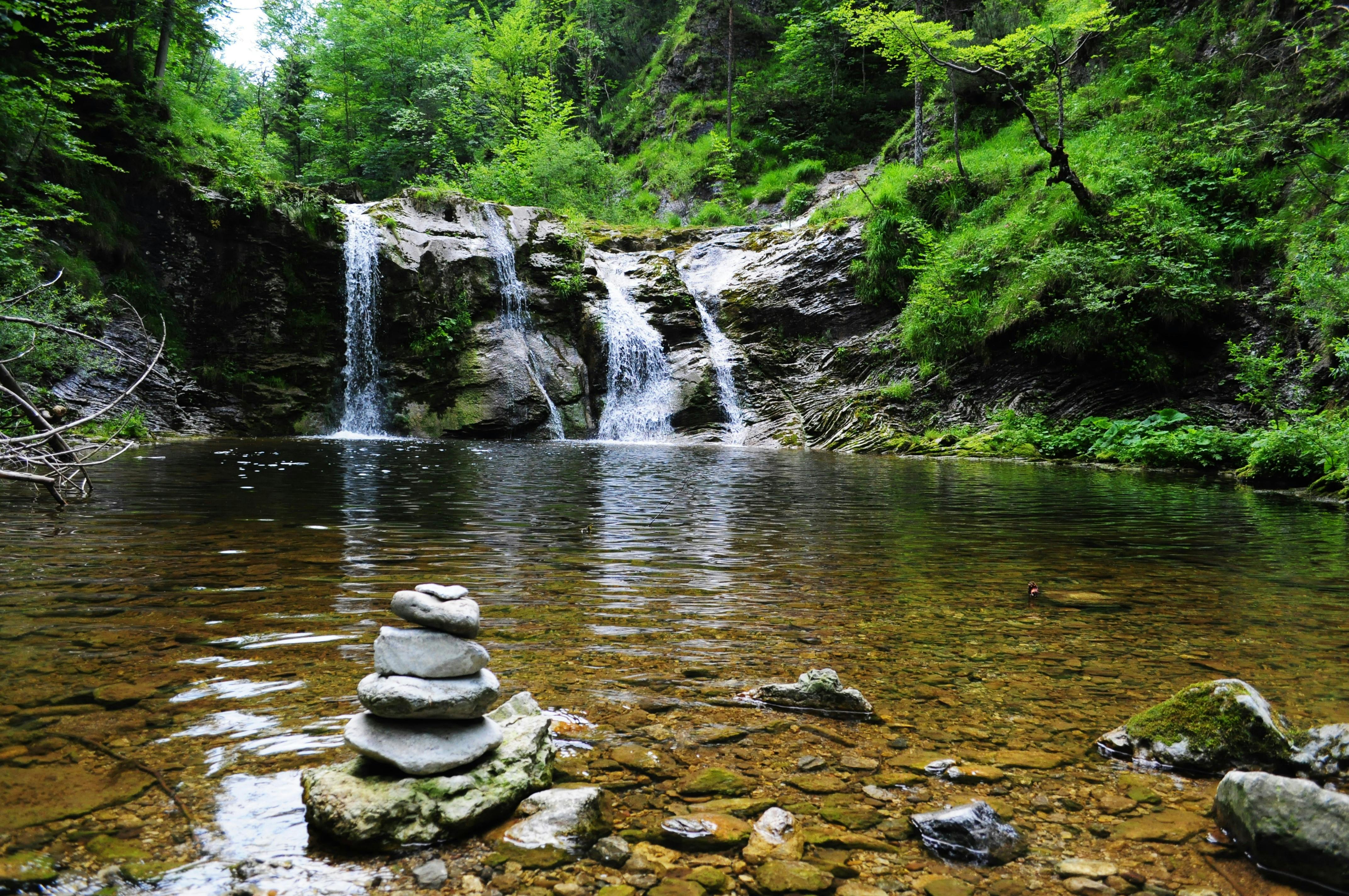 Wallpaper river, mountains, forest, 4k, Nature #15942