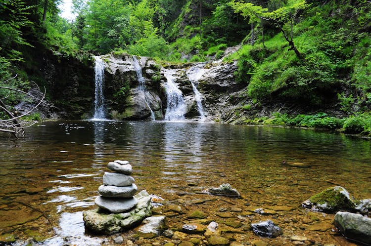 Body Of Water Across Forest