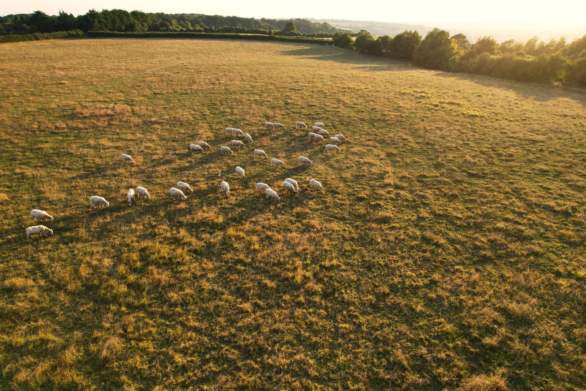 British countryside at sunset