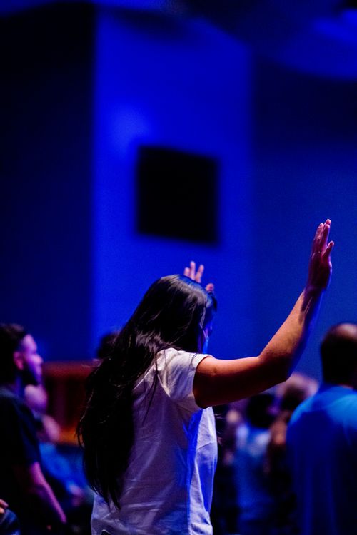 Free Energetic crowd at a concert with raised hands in blue lighting. Stock Photo