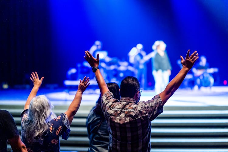 Back View Of People At The Concert 