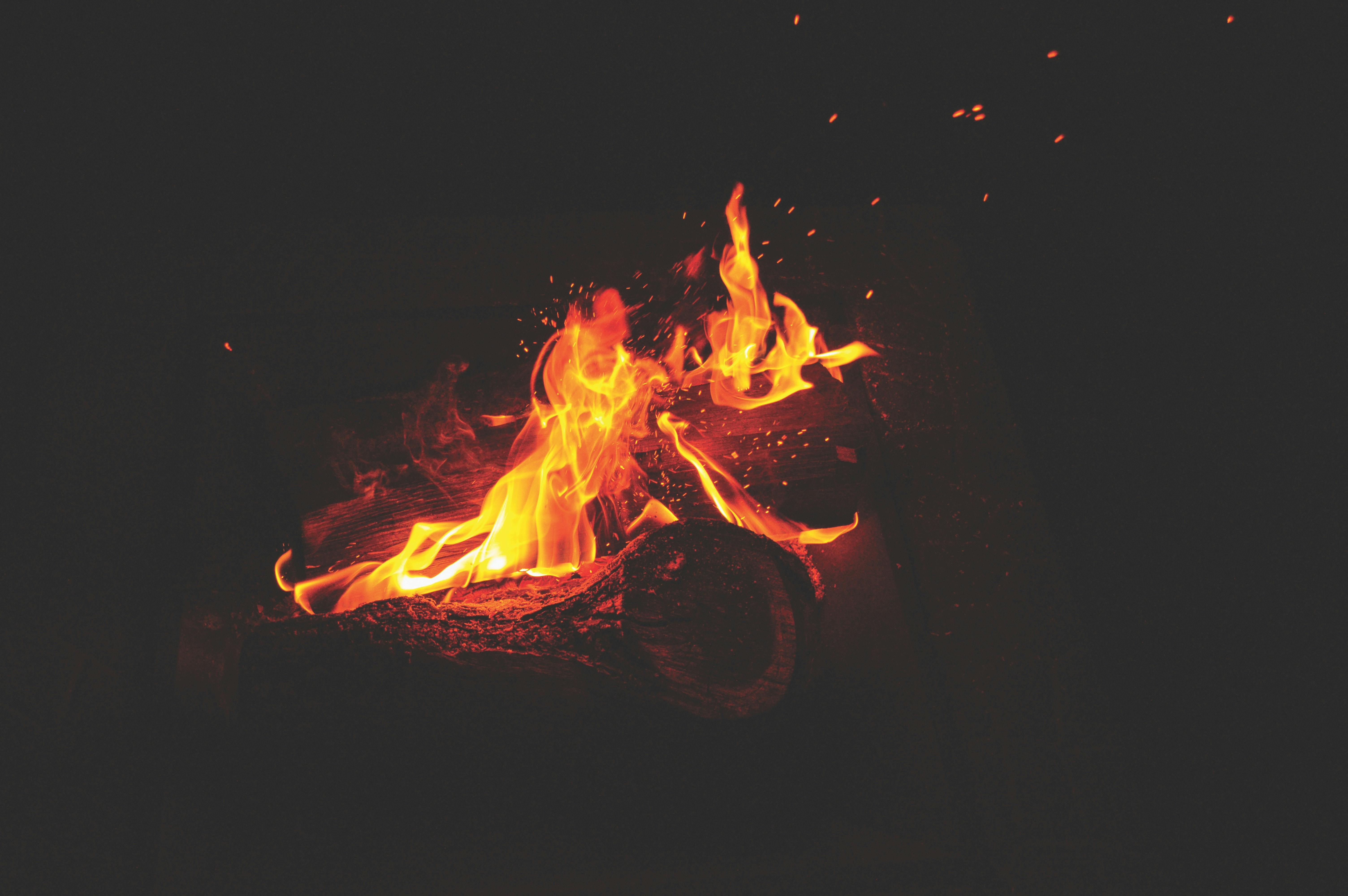 焚き火の写真 無料の写真素材