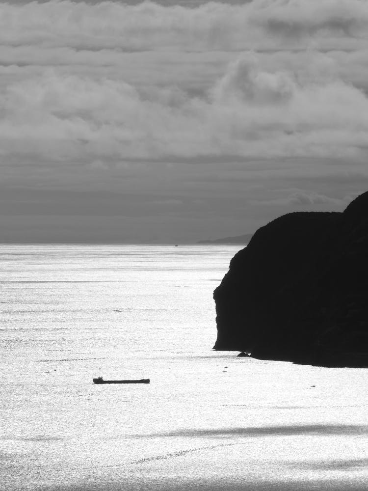 Black And White Photo Of Sea And Cliff