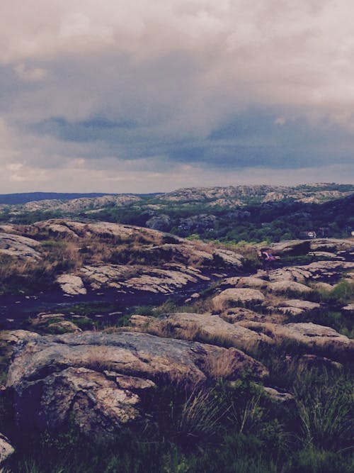 Landscape Photograph of Brown Mountain Surrounded With Grass