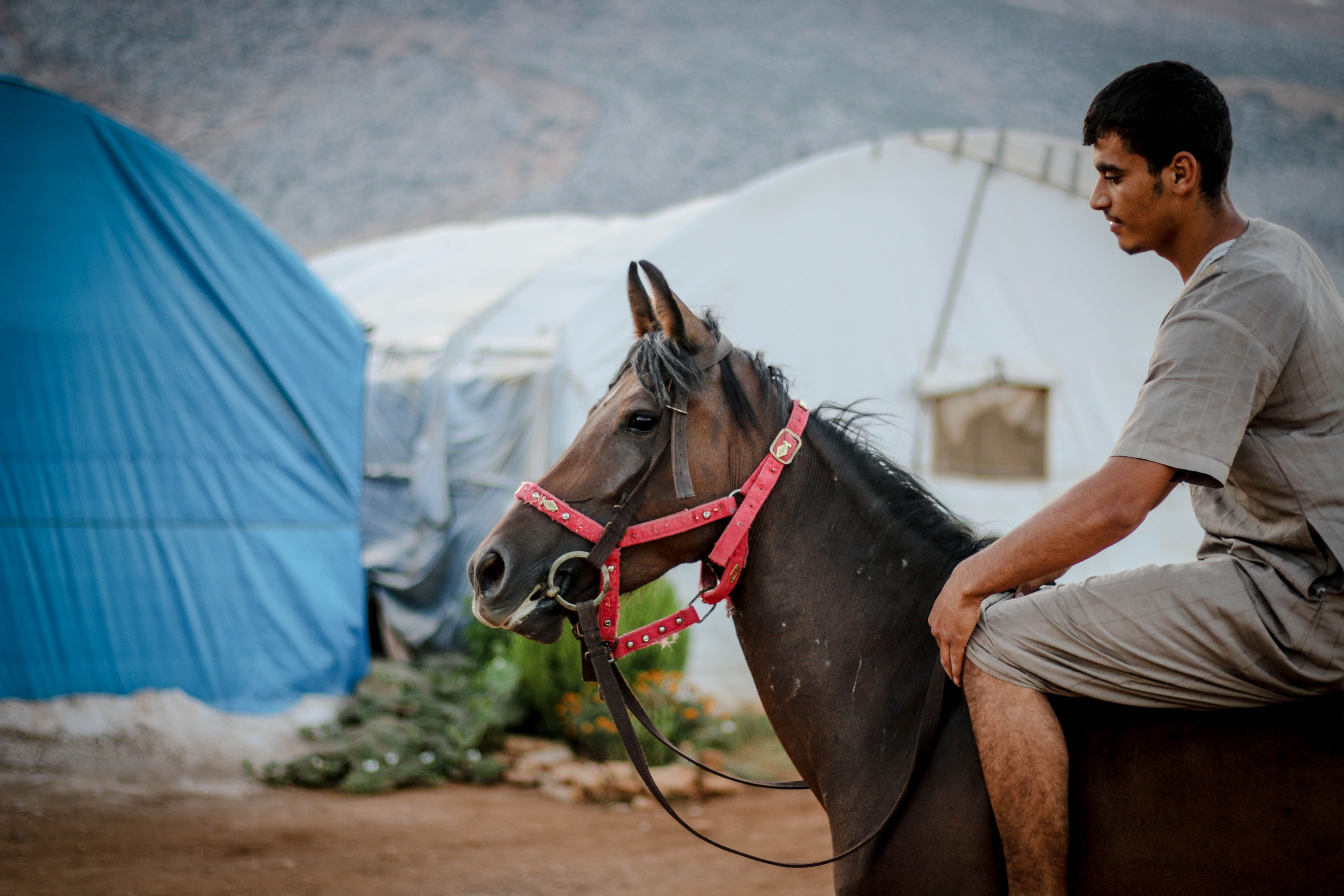 Refugee Camp Photos, Download The BEST Free Refugee Camp Stock Photos ...