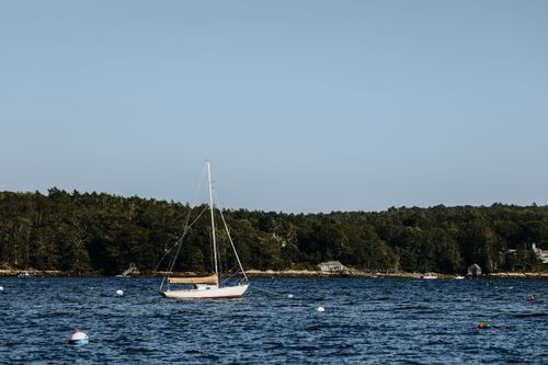 Free A peaceful sailboat floats on calm ocean waters near a lush forested coastline, capturing a tranquil moment. Stock Photo