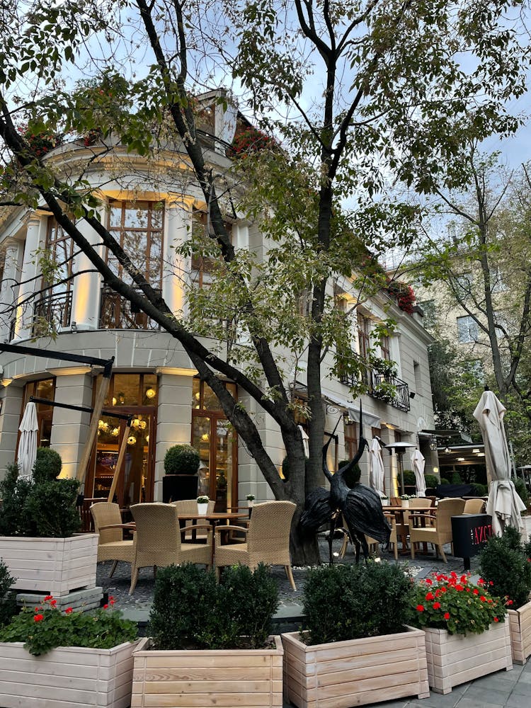 Sidewalk Cafe, Building And Tree