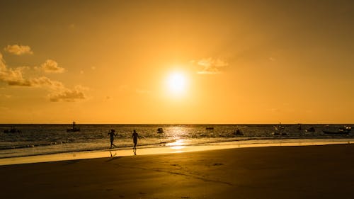 Silhouette of a Couple on the Beach During Golden Hour