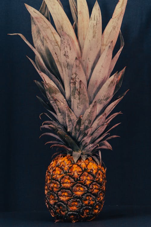 Ingyenes stockfotó ananász, beltéri, csendélet témában