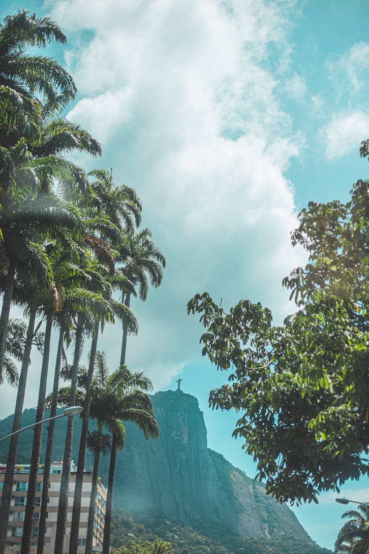 Corcovado Mountain  Under White Clouds