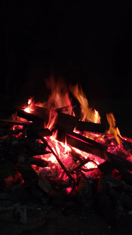 alaz, ateşte pişirmek, çekici içeren Ücretsiz stok fotoğraf