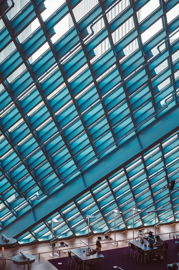 People On University Class Under Modern Ceiling