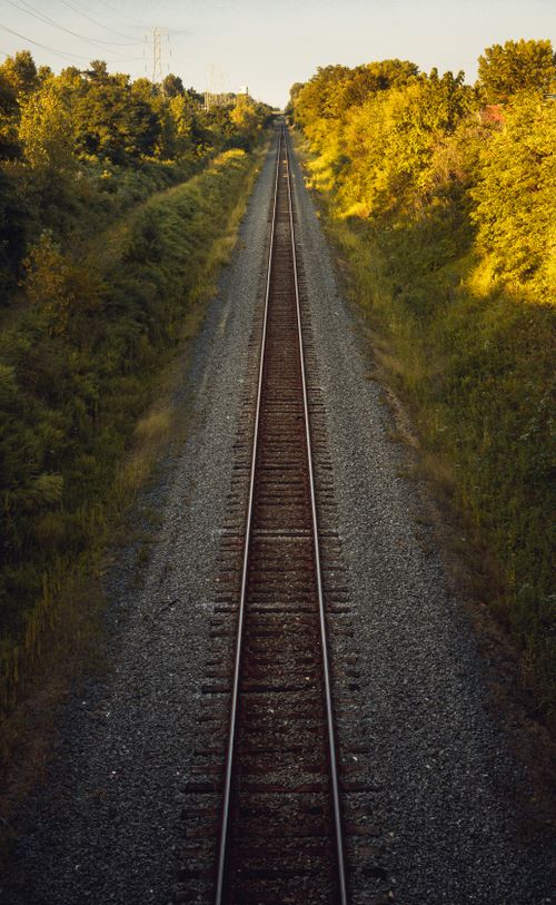 Free Aerial view of a railway track surrounded by vibrant green trees, captured during the day in a serene setting. Stock Photo