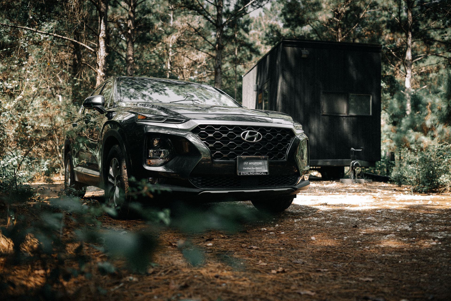 Low-angle view of a black Hyundai SUV parked amidst trees in a serene forest environment.