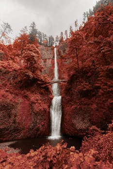 Stunning waterfall flowing through a vibrant red autumn forest with a scenic bridge overhead.