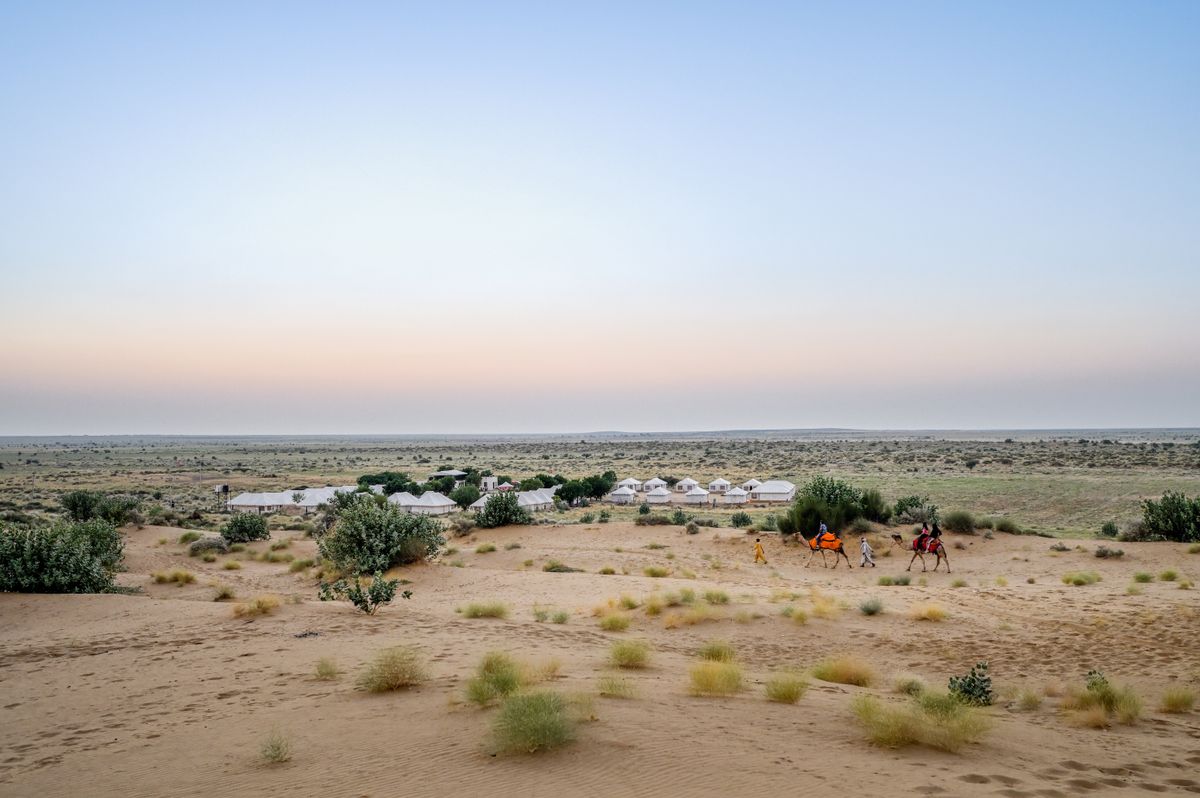 Camel caravan beside desert tents at sunset in the Thar Desert, Jaisalmer