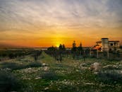 乡村的房屋、树木和布满岩石的田野，笼罩在令人惊叹的日落之中