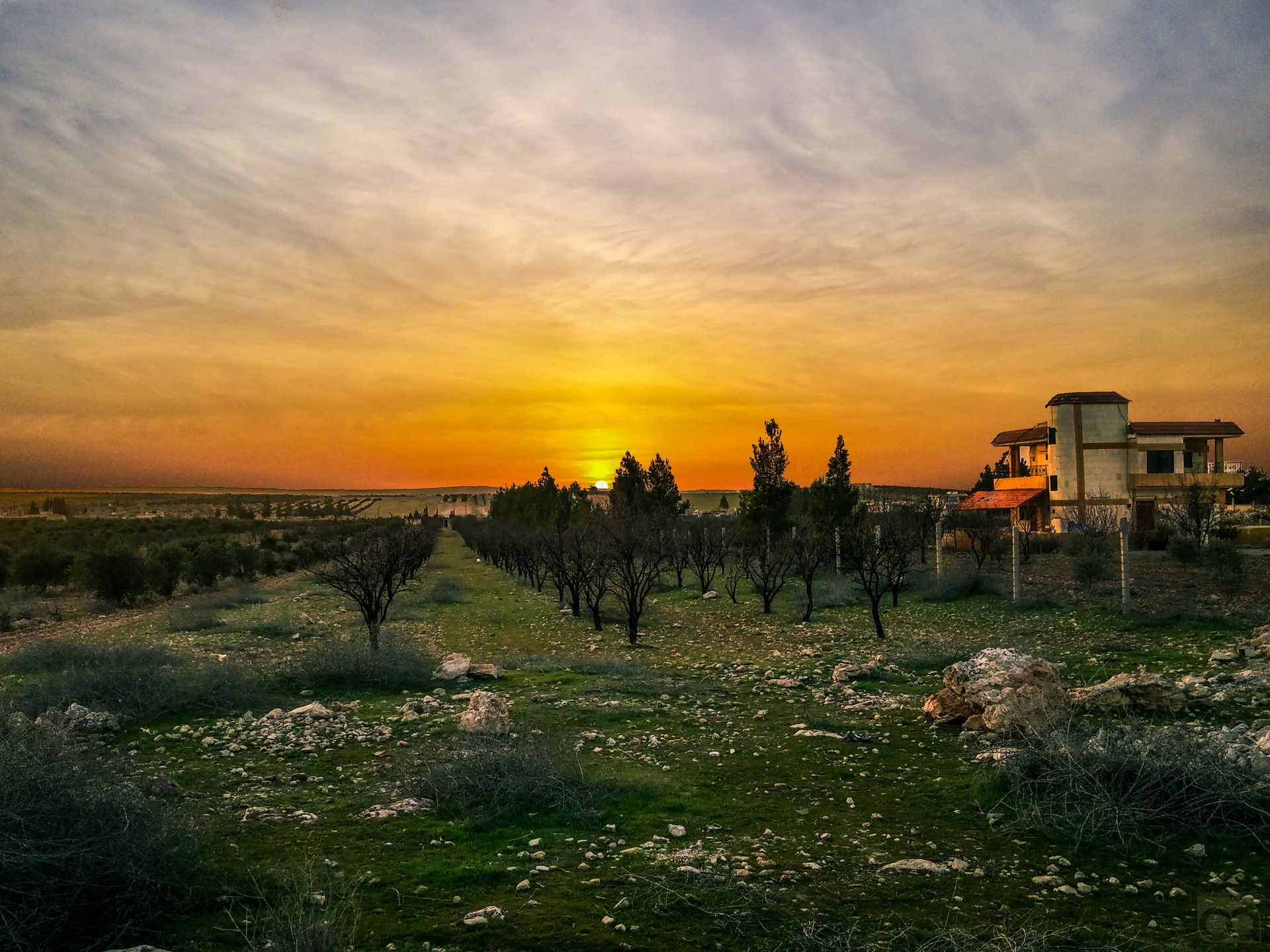 Stunning sunset over a rural landscape with a house, trees, and rock-strewn field.