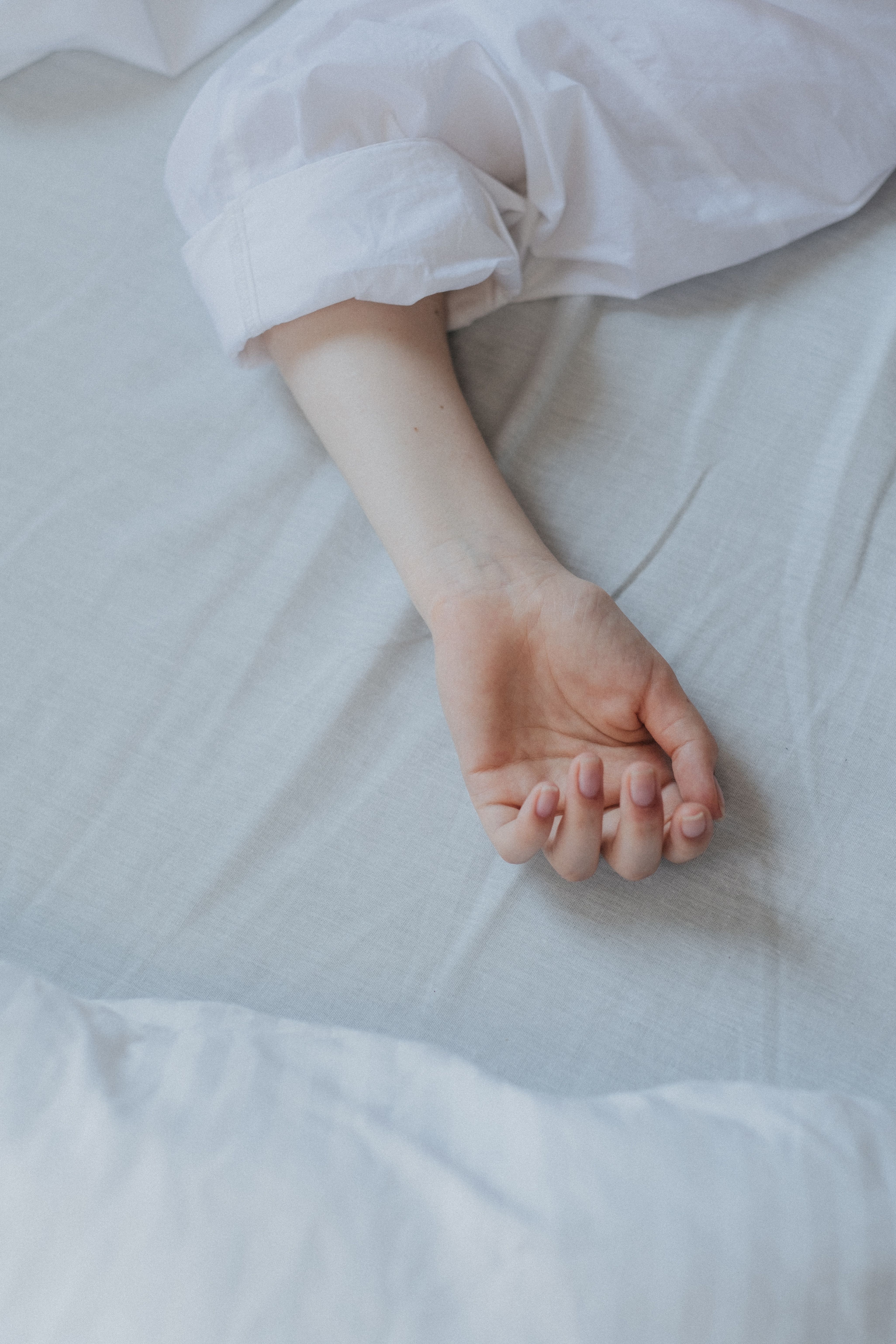 Bed Bug Treatment Services