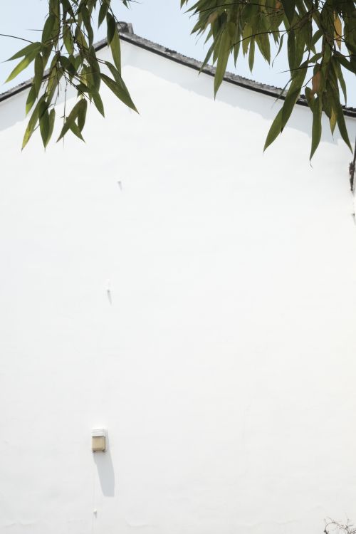 Free A minimalist composition featuring a white wall with green leaves in the foreground for contrast. Stock Photo