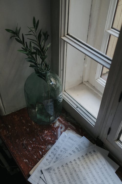 Безкоштовне стокове фото на тему «ваза, вертикальні постріл, вікно» стокове фото