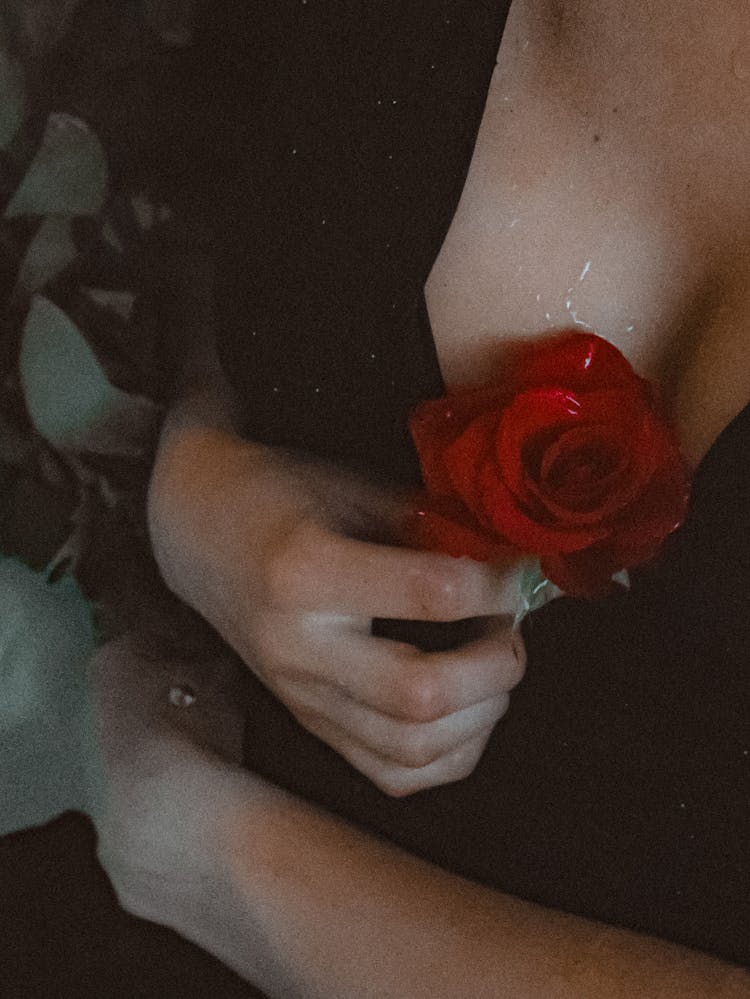 A Red Rose On A Woman's Breasts