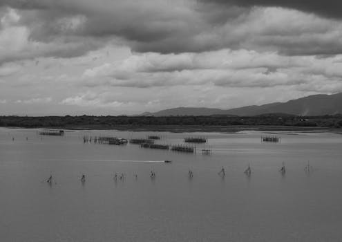Grayscale lake view in Chanthaburi, Thailand showcasing traditional fishing structures under a cloudy sky.