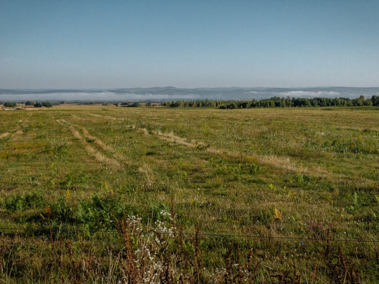 Landscape Of A Grass Flatland And Mountains In Distance 