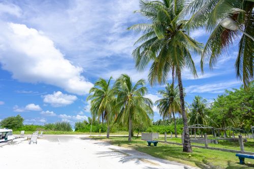 Free A tranquil beach scene with lush palm trees and clear blue skies. Stock Photo