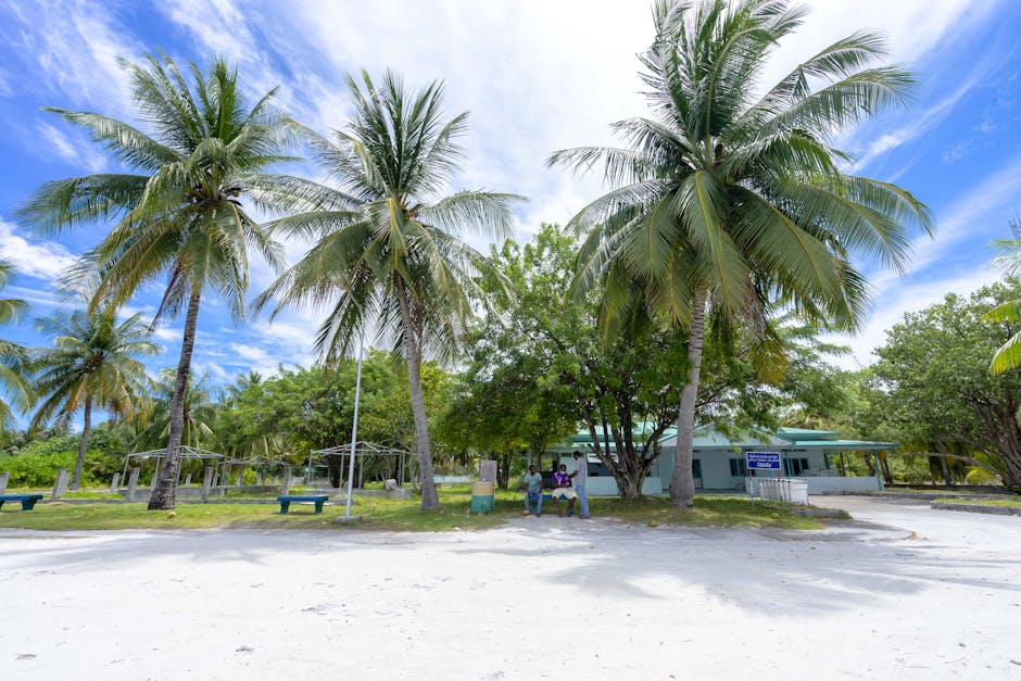 Serene tropical setting with palm trees and bright blue sky, ideal for relaxation and vacation imagery.