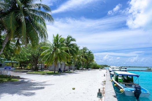 Photo by Asad Photo Maldives A scenic view of a tropical island beach with palm trees and boats docked along the shore.