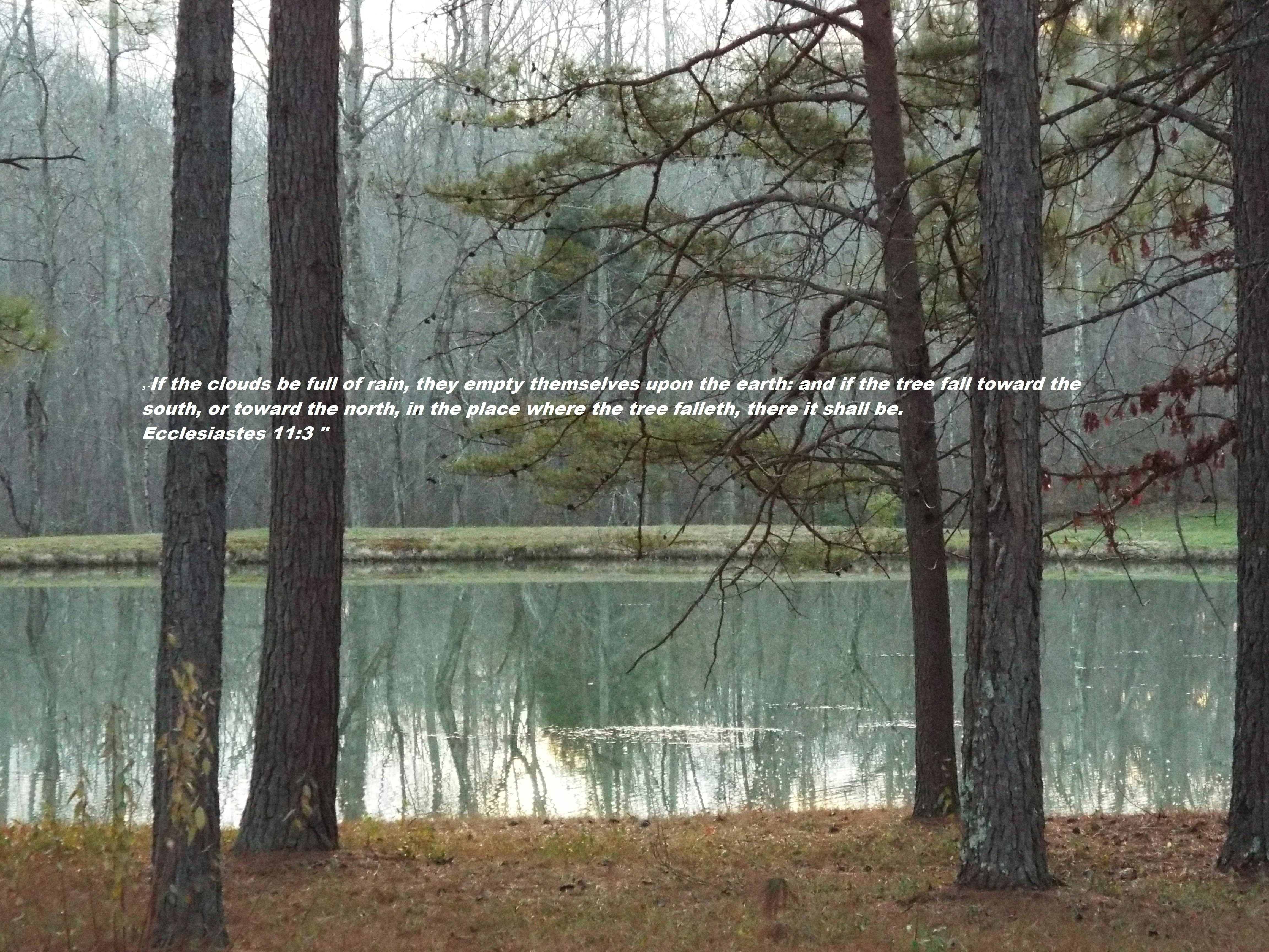 Samuel’s Calling: Hearing God’s Voice – 1 Samuel 3 – How a Young Prophet Heard God Speak