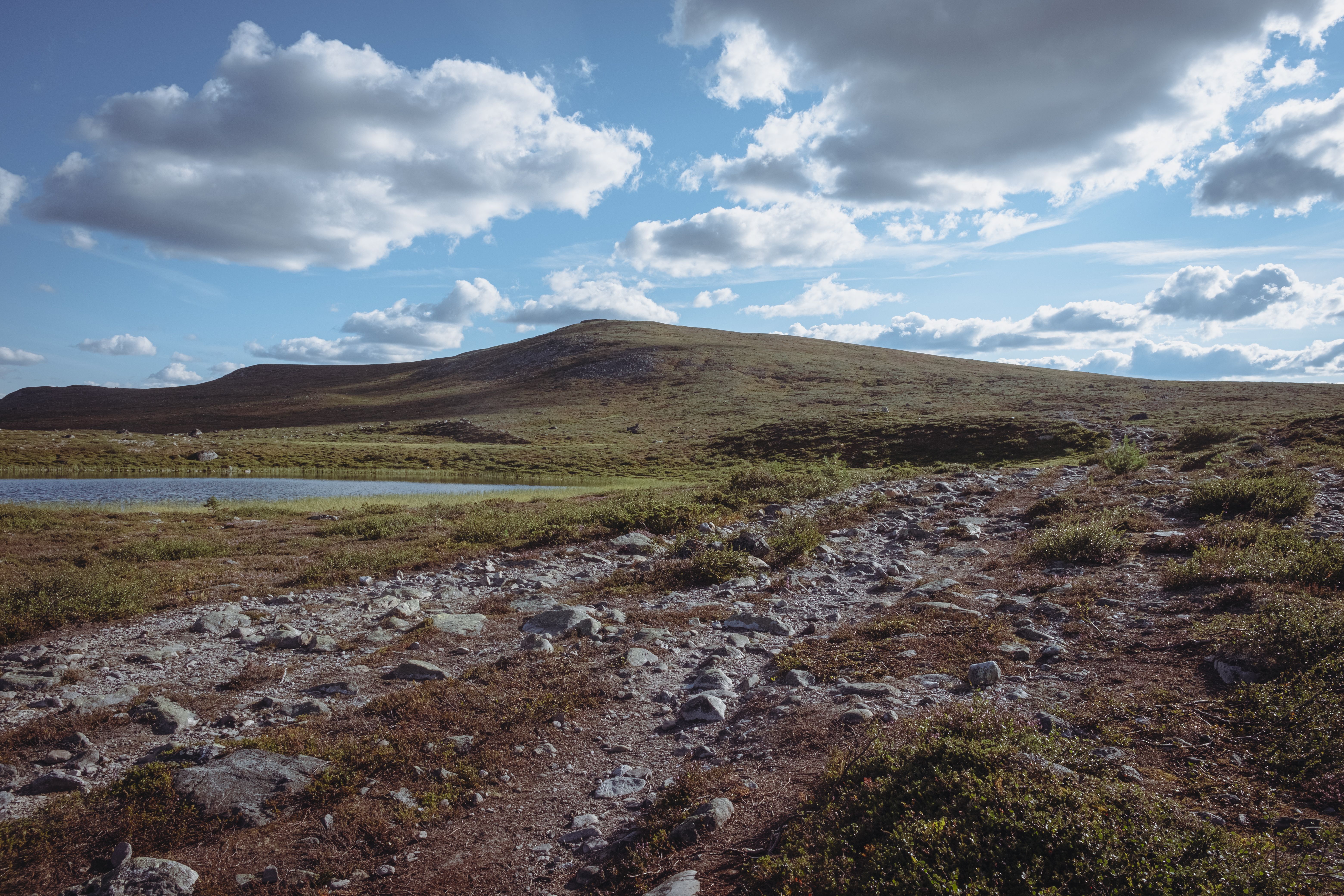8 Day Wellness Yoga Holiday in Sweden 3