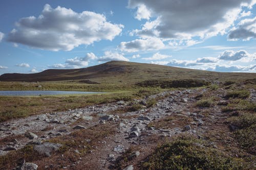 Gratis stockfoto met landschap, leeg, natuur