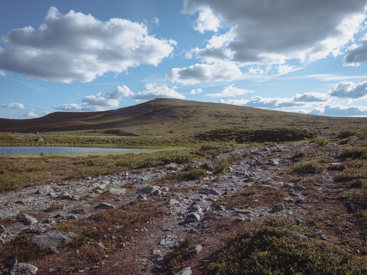 8 Day Wellness Yoga Holiday in Sweden 3