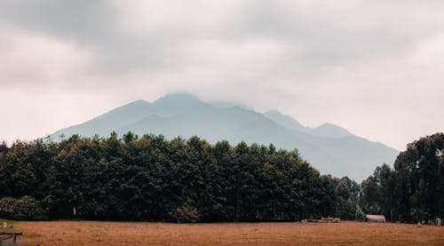 Fotobanka s bezplatnými fotkami na tému fotografia prírody, fotografovanie krajiny, hnedé pole