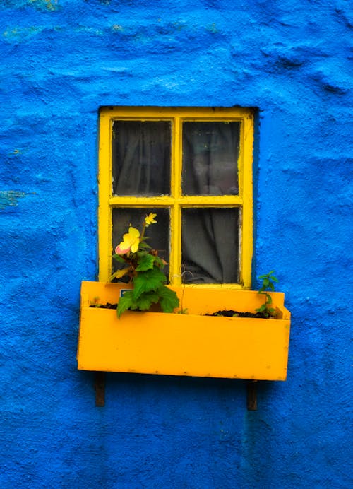Close-Up shot of Yellow Window and Blue Wall