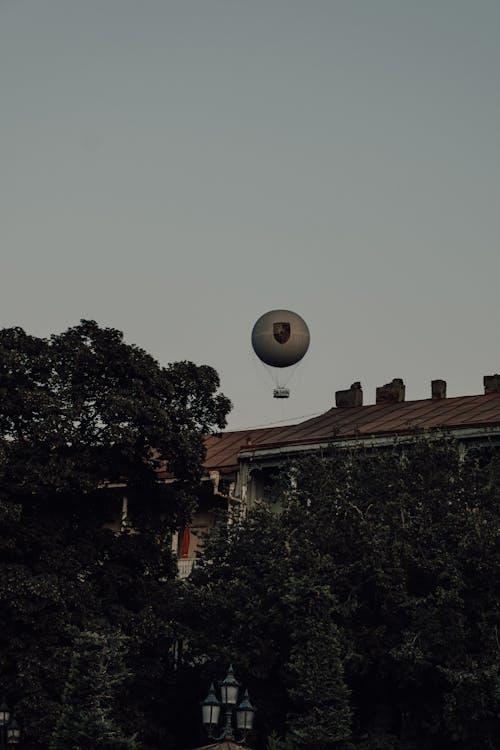 Balloon Flying Among Tenement Among Trees